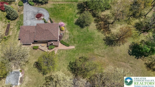 bird's eye view