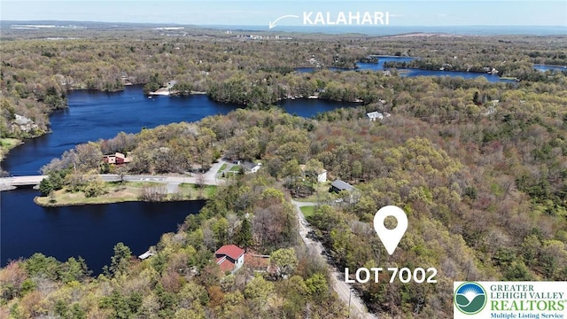 7002 Long Pond Rd, Tobyhanna Twp, PA 18334 - bird's eye view of a forest and a nearby body of water