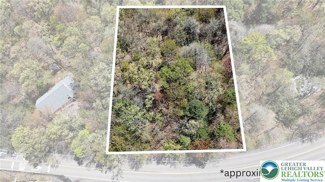 7002 Long Pond Rd, Tobyhanna Twp, PA 18334 - aerial view of property's location featuring property parcel outlined