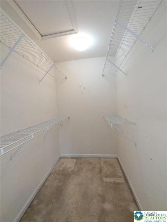 5221 Chandler Way S, Whitehall Twp, PA 18069 - spacious closet featuring light colored carpet