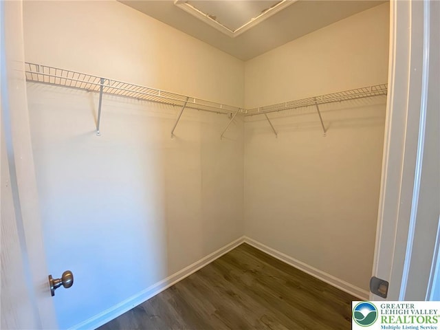 306 Redclover Ln, Upper Macungie Twp, PA 18104 - walk in closet with dark wood-style flooring