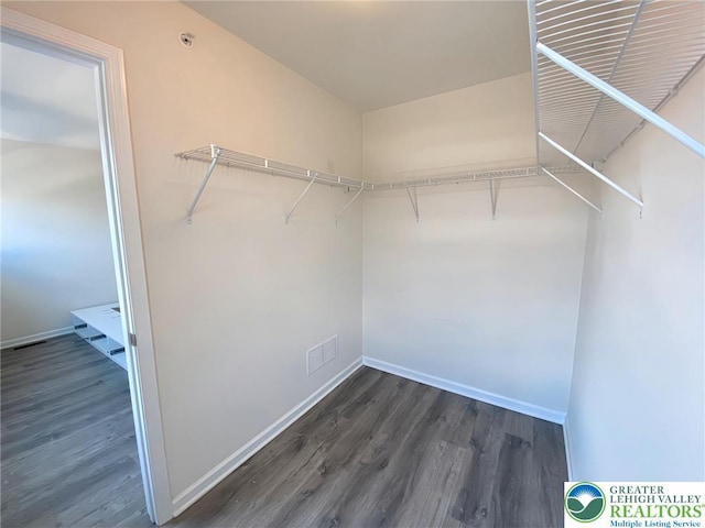 306 Redclover Ln, Upper Macungie Twp, PA 18104 - walk in closet with wood finished floors
