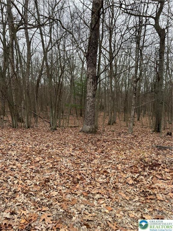 102 Heavenly Valley Dr, Pike, PA 18464 - photo 2