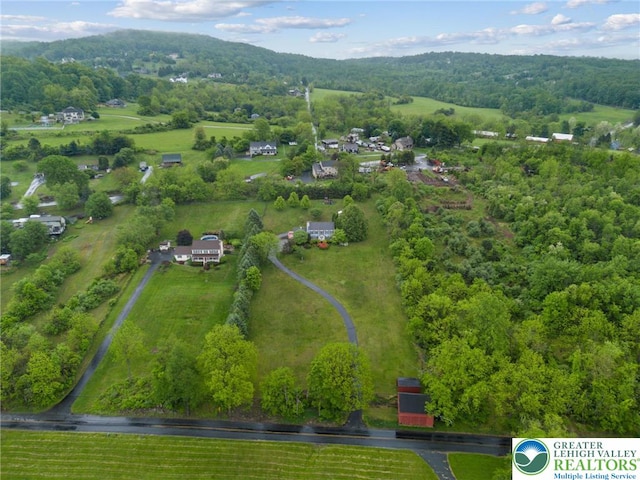 bird's eye view of a heavily wooded area