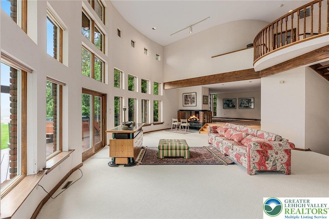 2342 Bobby Ct, South Whitehall Twp, PA 18069 - bedroom with carpet flooring, a multi sided fireplace, and a towering ceiling