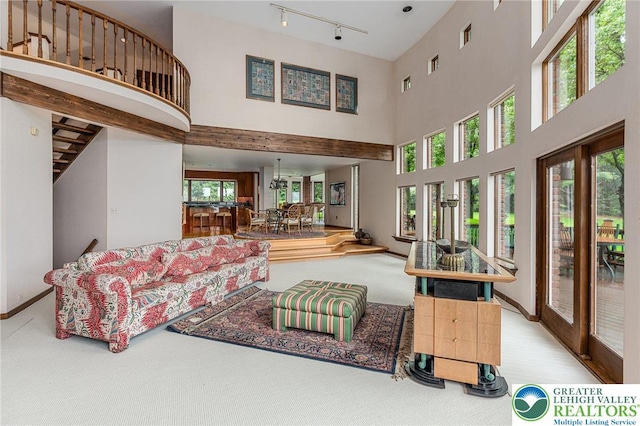 2342 Bobby Ct, South Whitehall Twp, PA 18069 - living area featuring carpet floors, a high ceiling, track lighting, and baseboards