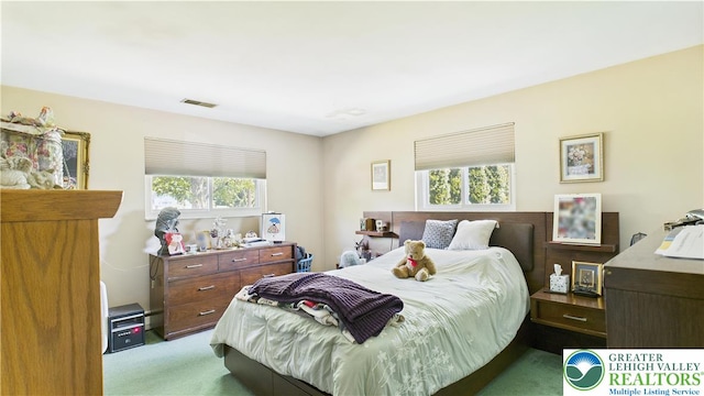4168 Orefield Rd, South Whitehall Twp, PA 18104 - bedroom with carpet and multiple windows