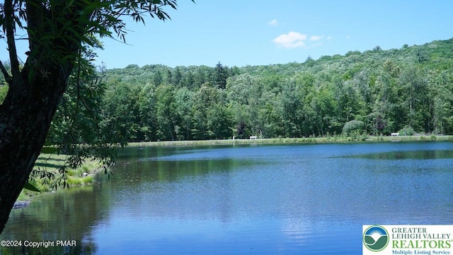water view with a heavily wooded area