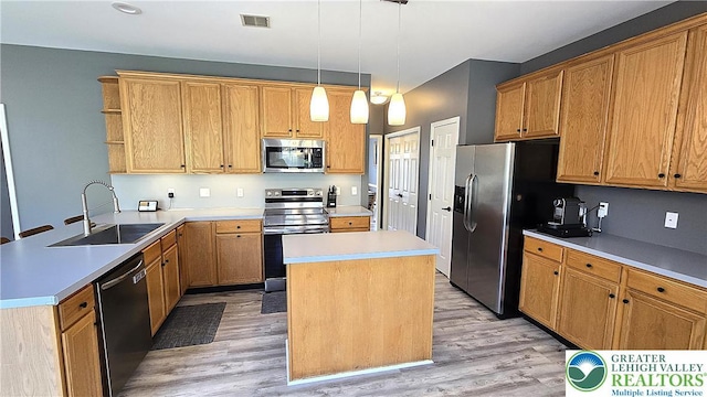 kitchen with appliances with stainless steel finishes, a sink, open shelves, and light wood-style flooring