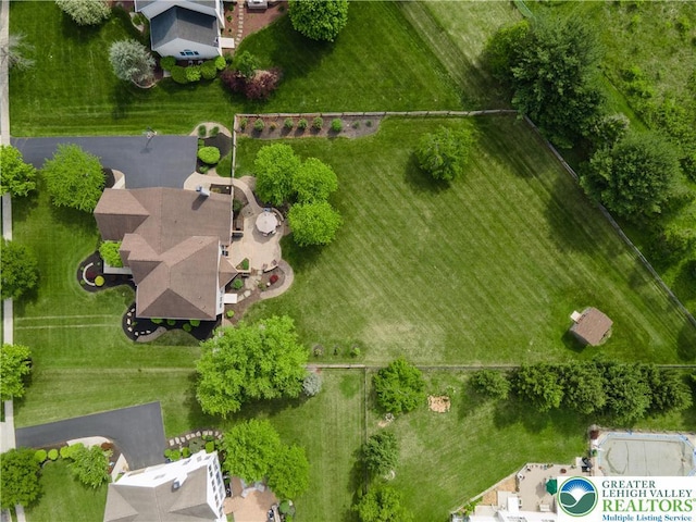 bird's eye view