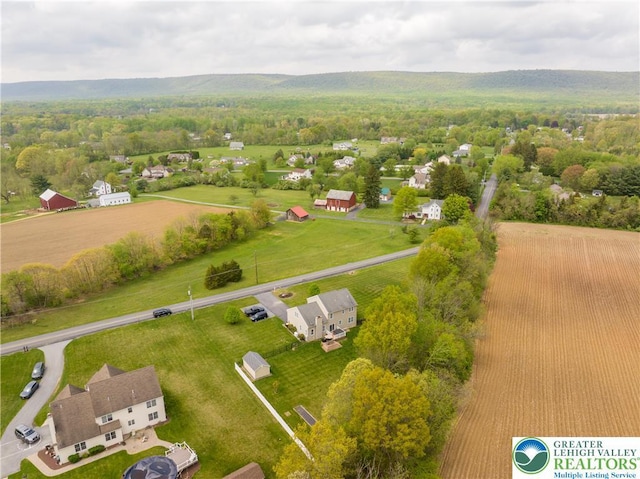 bird's eye view