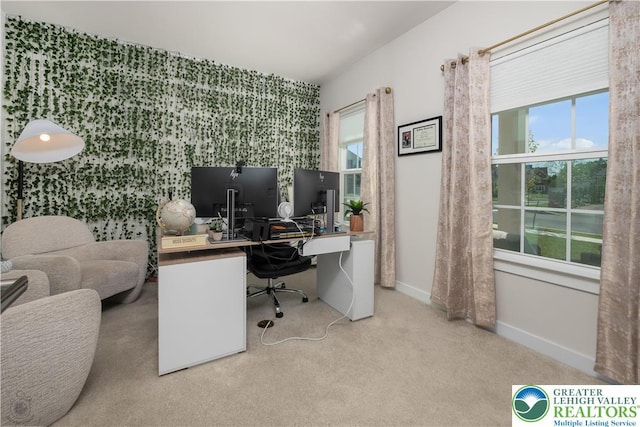 office area featuring baseboards, wallpapered walls, plenty of natural light, carpet floors, and an accent wall