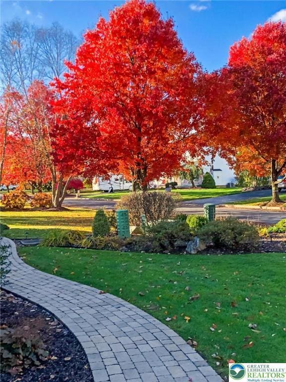 view of property's community featuring a lawn