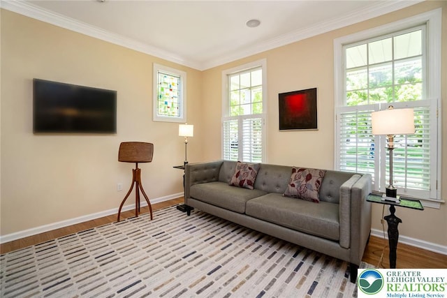living area featuring wood finished floors, baseboards, and ornamental molding