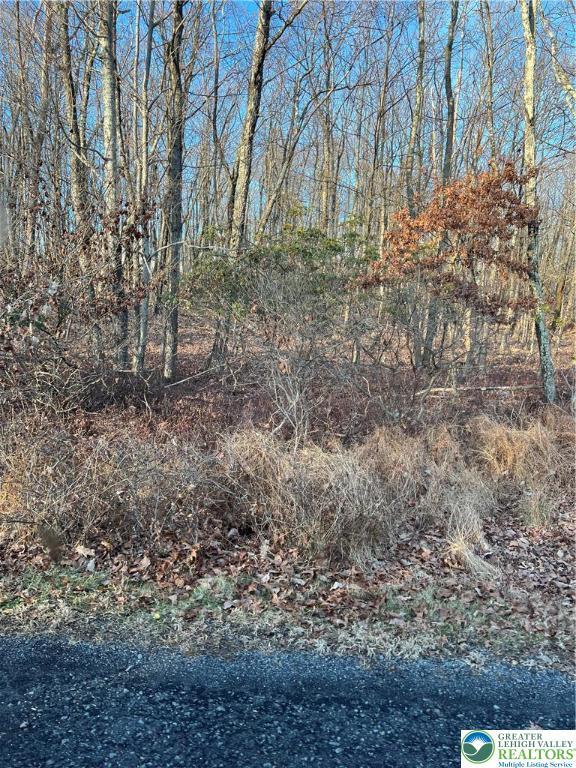 3 Apple Ln Unit 588, Penn Forest Township, PA 18229 - view of local wilderness