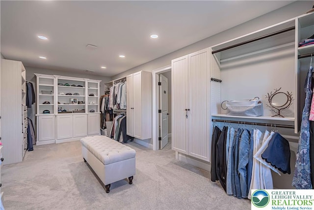 spacious closet with light carpet
