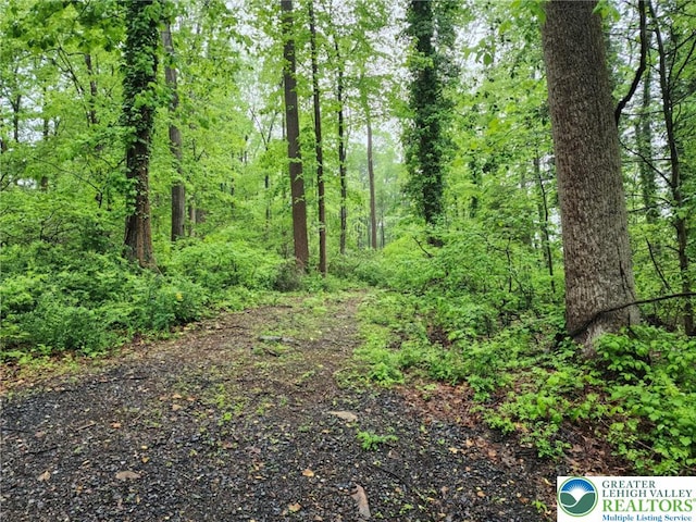 view of wooded area