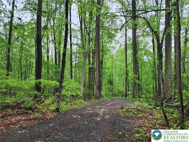 view of woods