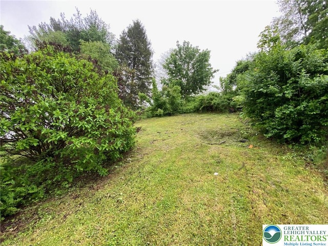 view of grassy yard