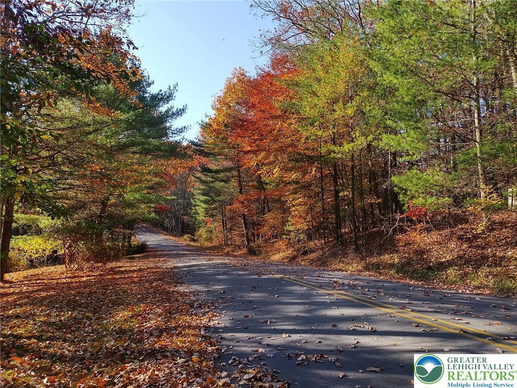 6701 Red Fox Trl, East Stroudsburg, PA 18302 - view of asphalt street with a view of trees