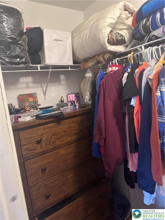 131 Winding Way, Washington Twp, PA 18013 - view of spacious closet