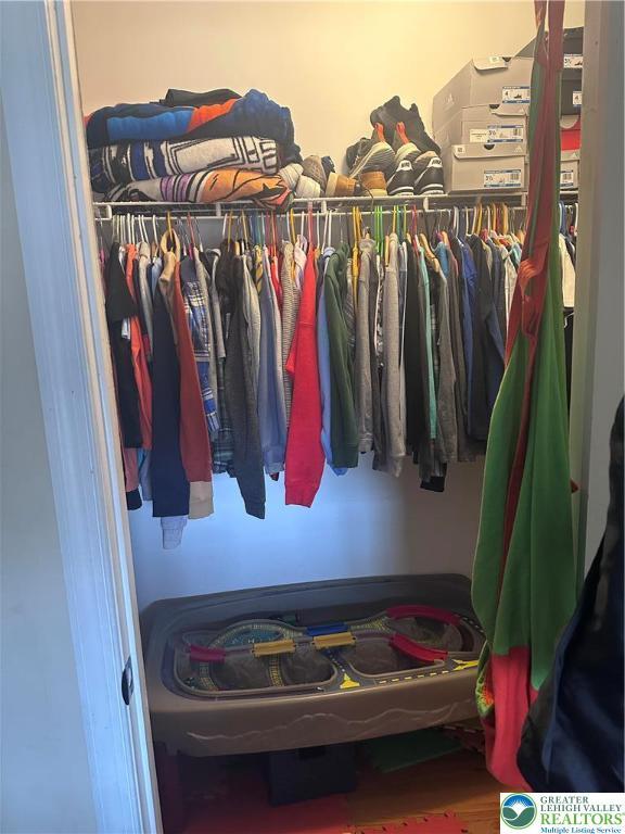 131 Winding Way, Washington Twp, PA 18013 - view of closet