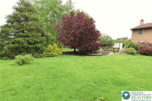 view of grassy yard