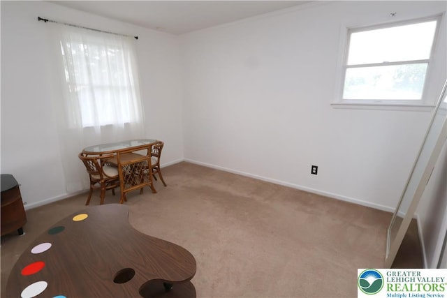 interior space with carpet, plenty of natural light, and baseboards