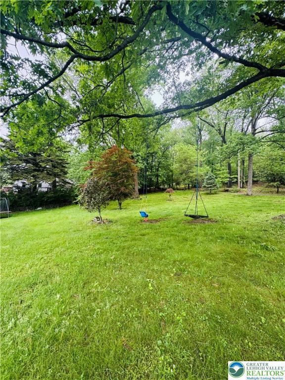 3516 Pine Ave, Saint Lawrence, PA 19606 - view of grassy yard