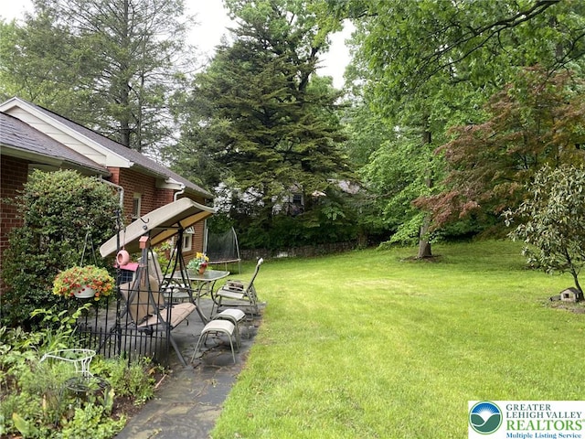 3516 Pine Ave, Saint Lawrence, PA 19606 - view of grassy yard with a trampoline