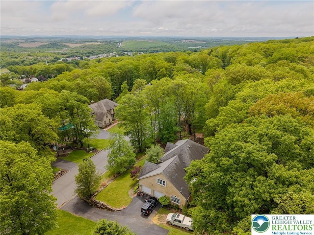 803 Birch Ave, Pen Argyl Borough, PA 18072 - aerial view of a heavily wooded area