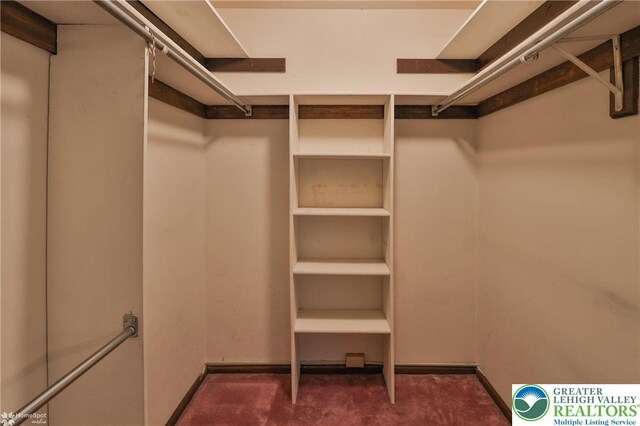 6379 Winding Rd, Upper Saucon Twp, PA 18036 - walk in closet featuring dark carpet