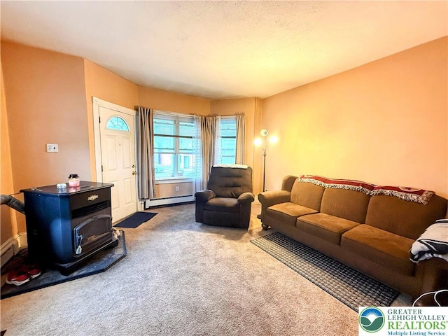 213 Main St, Pen Argyl Borough, PA 18072 - carpeted living room featuring a baseboard radiator and a wood stove