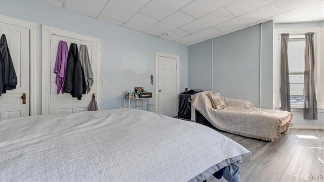 bedroom with wood finished floors and a drop ceiling