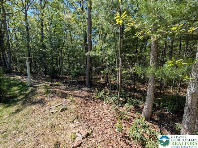 130 Corktree Rd, Polk Twp, PA 18058 - view of wooded area