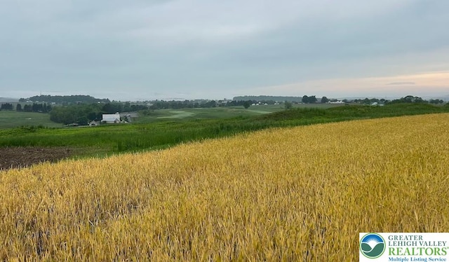 view of undeveloped land featuring rural landscape