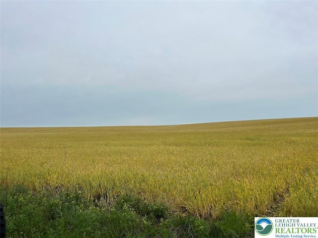 view of undeveloped land