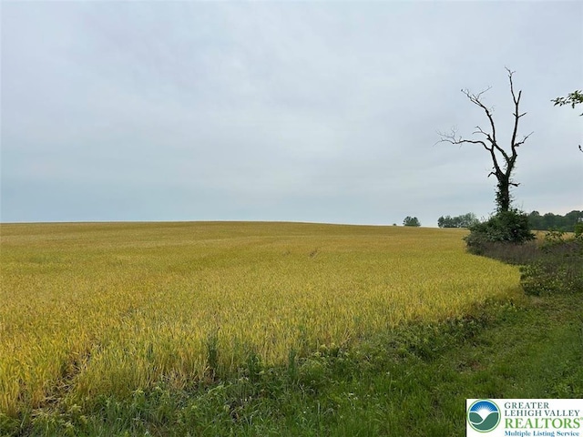 view of undeveloped land with rural landscape