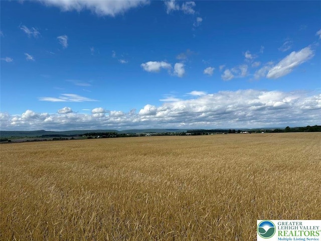 view of local wilderness featuring rural landscape
