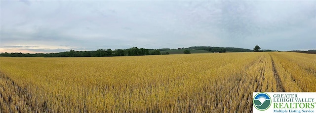 view of local wilderness with rural landscape