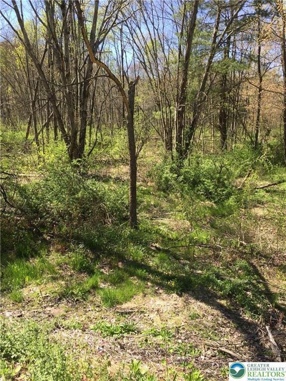 935 Carney, Polk Twp, PA 18058 - view of nature
