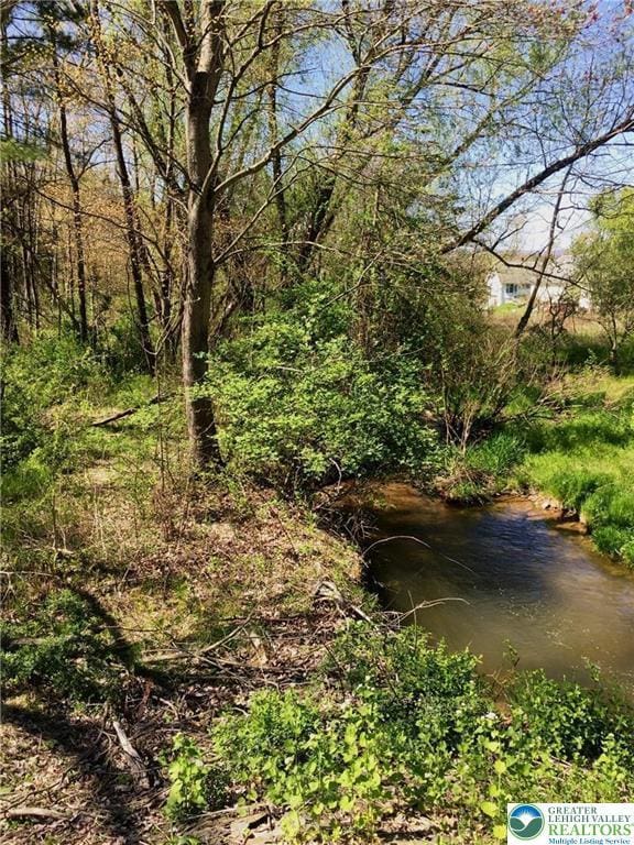 935 Carney, Polk Twp, PA 18058 - view of undeveloped land