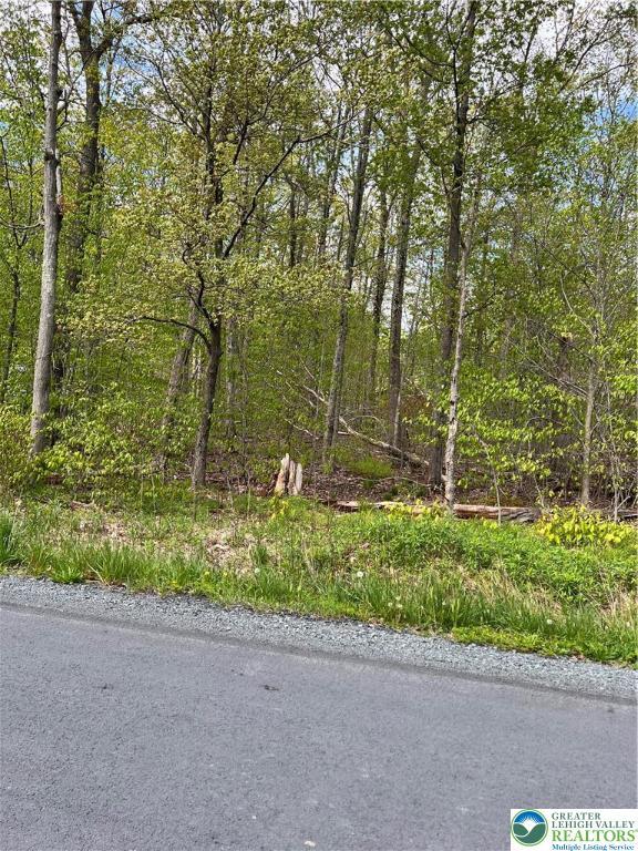 Outer Dr Unit 18, Coolbaugh Twp, PA 18347 - view of asphalt street
