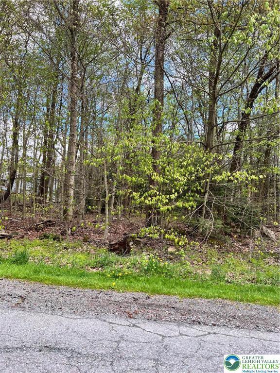 151 Sitka Dr Unit 410, Coolbaugh Twp, PA 18347 - view of local wilderness
