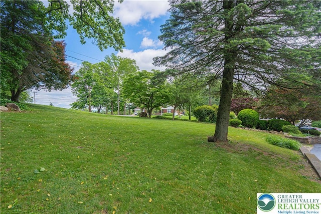 3082 Pricetown Rd, Pa, PA 19560 - view of grassy yard