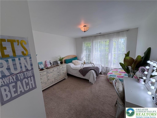 1557 Bridgeton Rd, Upper Macungie Twp, PA 18031 - bedroom with carpet floors