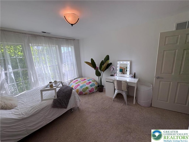 1557 Bridgeton Rd, Upper Macungie Twp, PA 18031 - bedroom with carpet