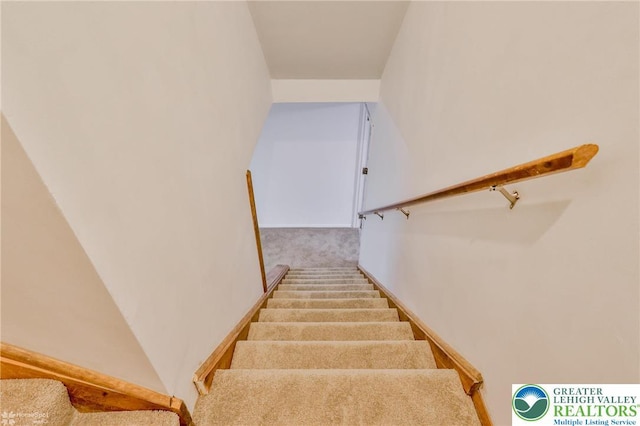 366 Winter Springs Rd, Bushkill Twp, PA 18064 - stairway with carpet floors