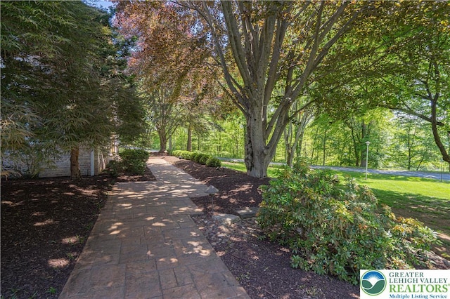 1845 Lehigh Pkwy N, Allentown City, PA 18103 - view of surrounding community