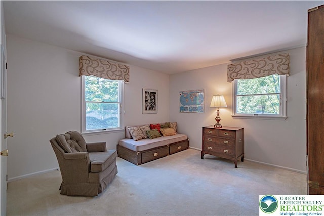 1845 Lehigh Pkwy N, Allentown City, PA 18103 - living area with healthy amount of natural light, carpet floors, and baseboards